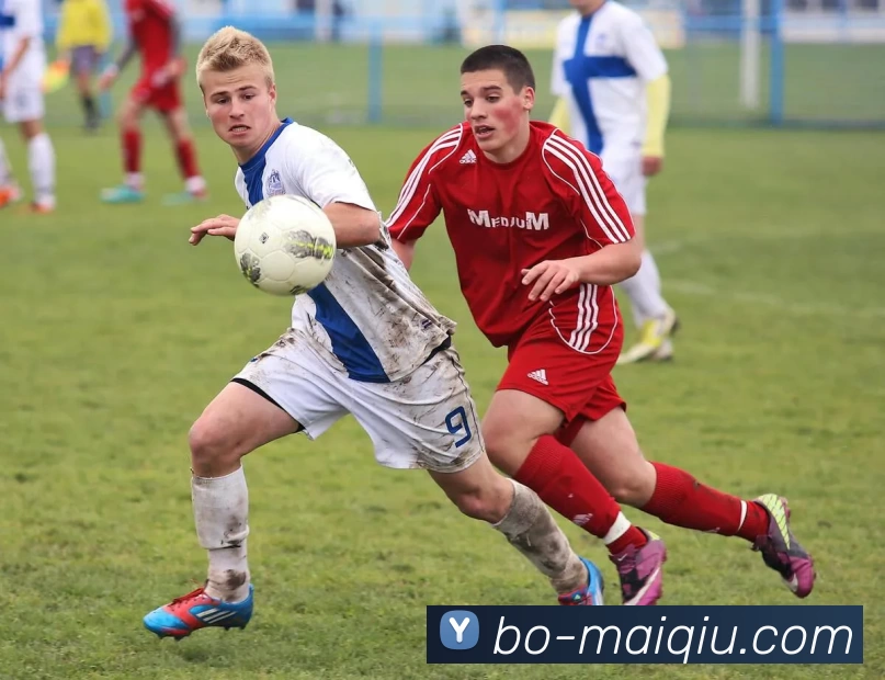 App Interface Preview